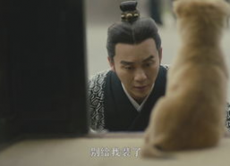 国产男人的天堂,男人的天堂，情感与激情的完美融合