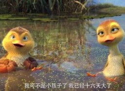 鸭子国产视频,鸭子的趣味生活大揭秘