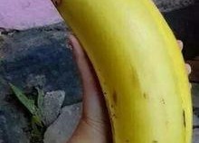 国产对白大香蕉