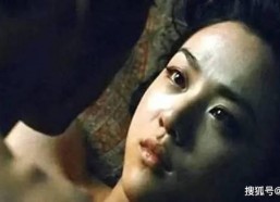 国产成人版,探索中国影视新领域