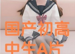 国产高中生,国产高中生风采录