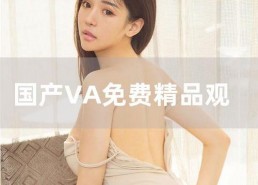国产va在线视频
